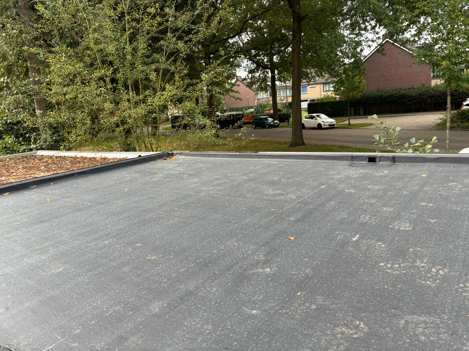 Douglas overkapping met deur 530 x 280 cm - Afbeelding 2