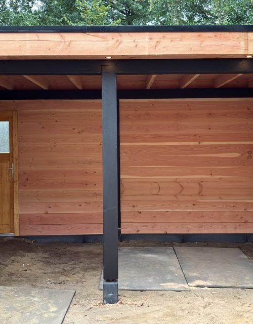 Douglas overkapping met deur 530 x 280 cm